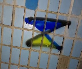 Ukraine Invasion: Part 38