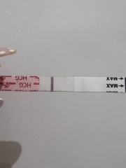 TWW - Testing Around 1st March 