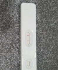 Is this ovulation test - or +