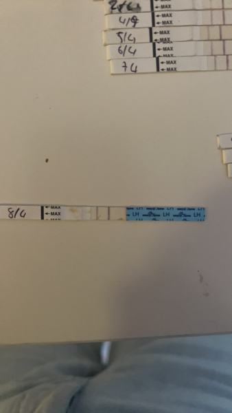 Ovulation tracking help I'm going mad!