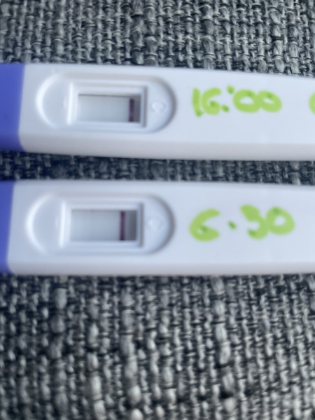 Is there a faint line? Am I pregnant? 
