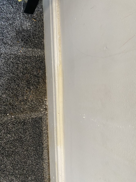 Damp and mould dodgy landlord help needed