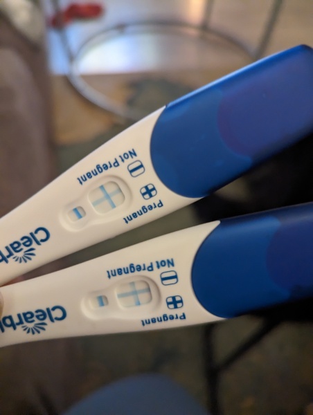 Due December 2023 part 2