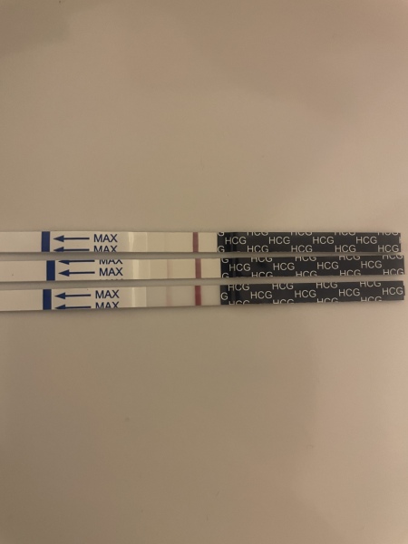 12 dpo line
