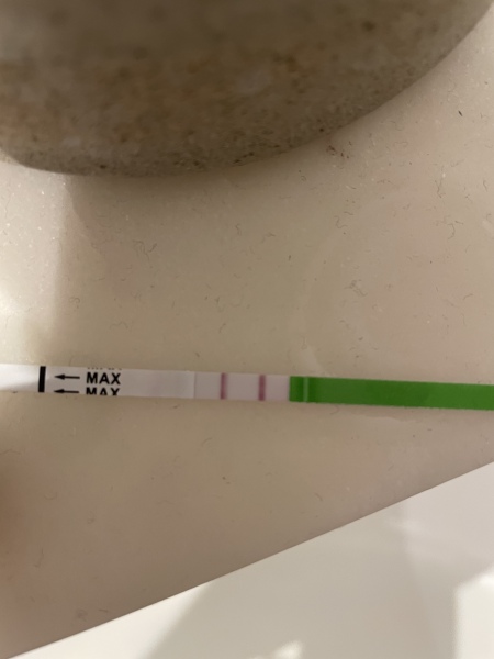 Positive OPK? 