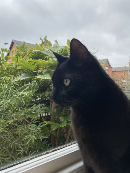 Cancer Support thread 86 - Stay Positive 