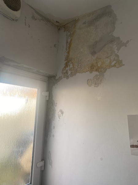 Damp and mould dodgy landlord help needed