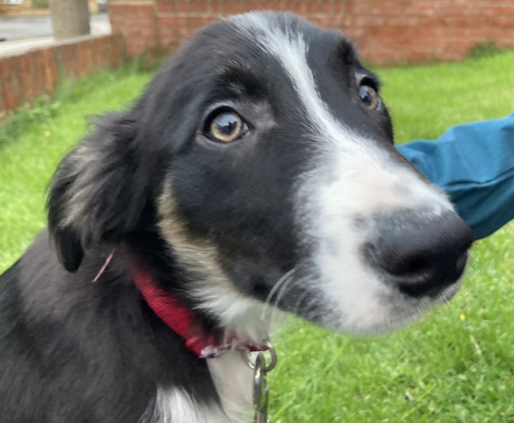 Cancer Support thread 86 - Stay Positive 