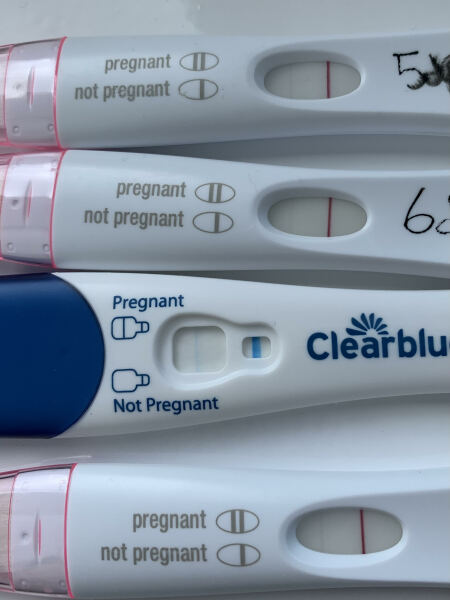 Two week wait FRER tests - pregnant or chemical?