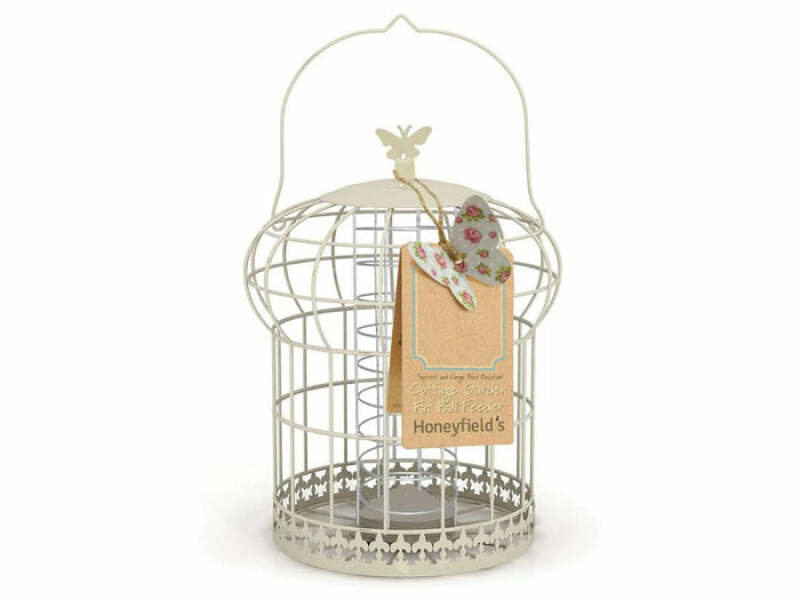 Rats and feeding birds