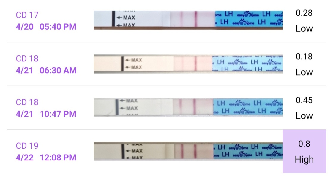 Anyone else TTC #1? Just looking for TTC buddies!