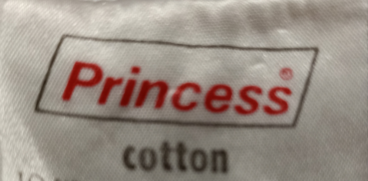 I need help to identify a clothing logo please 