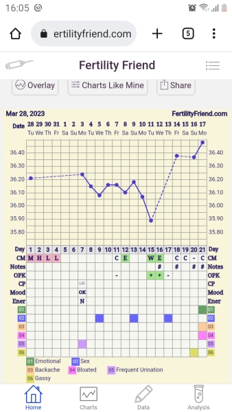 Cd1 anyone like to join me for April's cycle? 