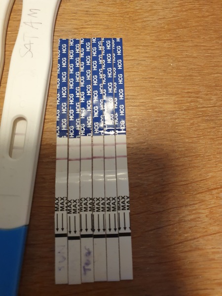 How long did u test positive after a chemical/miscarriage?