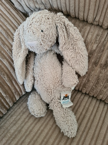 Anyone have a bunny rabbit like this? Desperate mum.