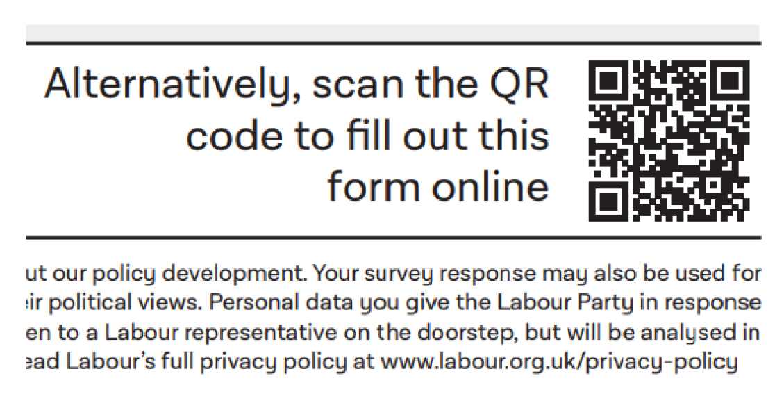 Labour's Issues Survey 2023