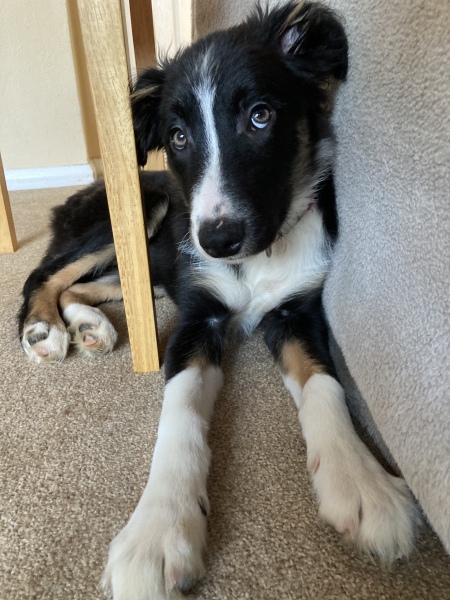 Cancer Support thread 86 - Stay Positive 