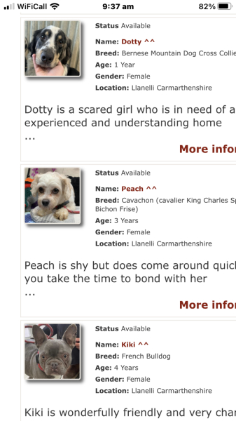 To not know what to do - dog related 