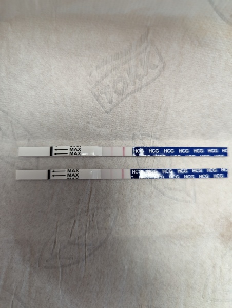 FET March 2023
