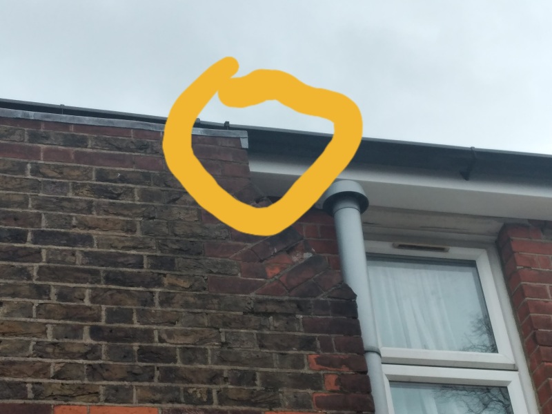 New roof but still leaking