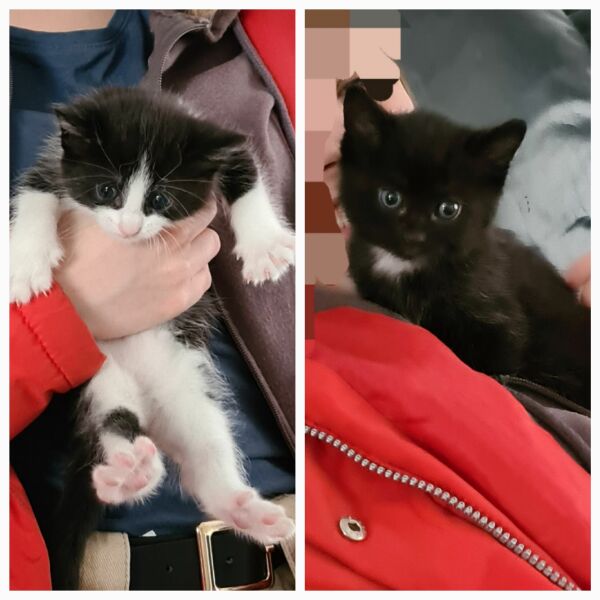 I am not bloody calling it Velcro!!