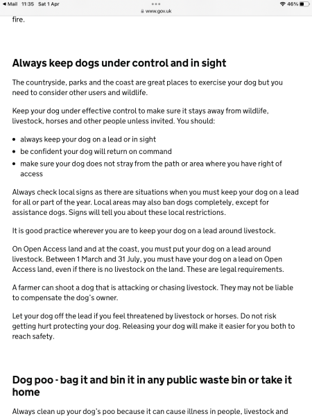Dog & Sheep Solutions? 