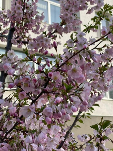 Ukraine Invasion: Part 39