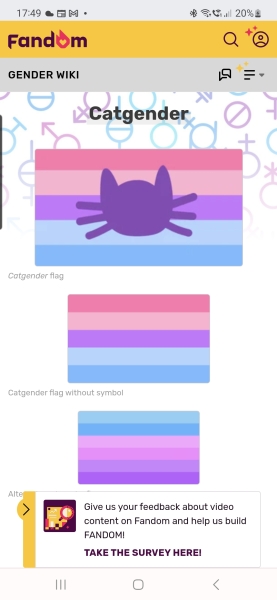 To ask school why DS was told there are 72 genders?