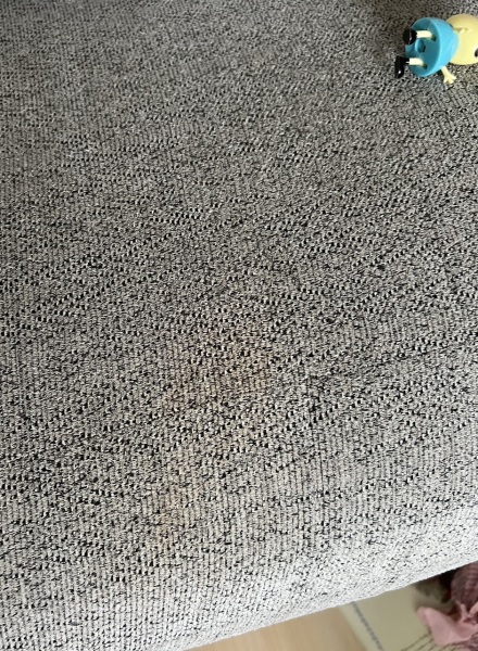 Help me get rid of this poo patch on my sofa