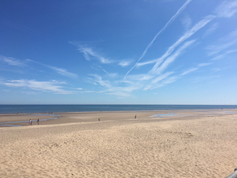 Autistic women assemble!