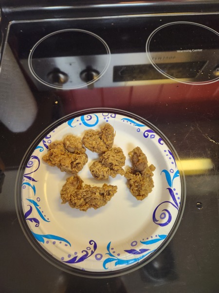 Should I reopen the happy place cafe?