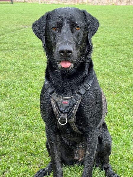 Autistic women assemble!