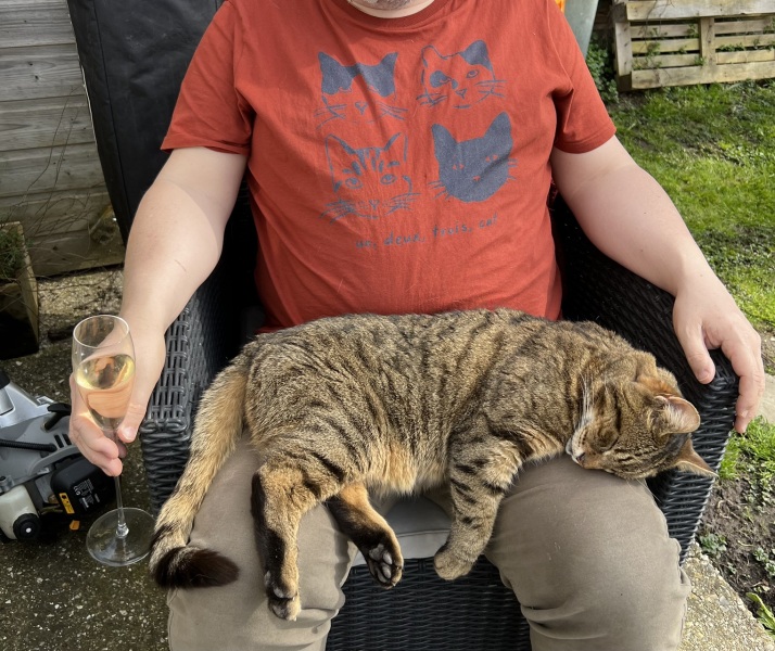 TCs favourite neighbour