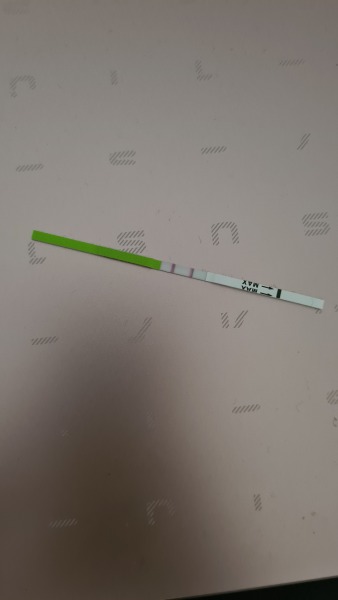 Cd1 anyone like to join me for April's cycle? 