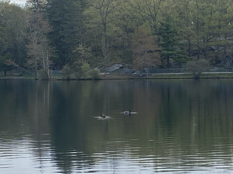 Come and tell me your dull and unexciting news 25: Calmly through the day 