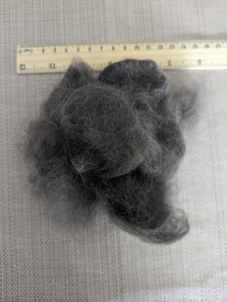 Best brush for long-haired cat.