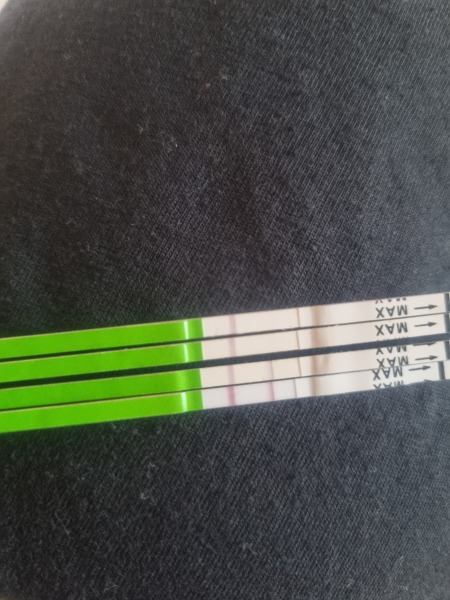 Ovulation Lh surge?