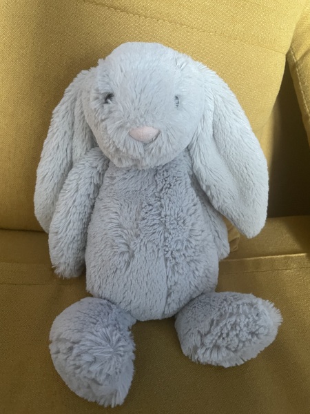 Anyone have a bunny rabbit like this? Desperate mum.