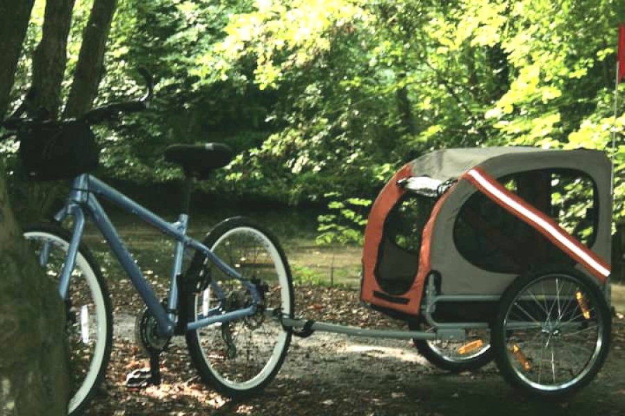 Does anyone use a bike trailer for their dog? 