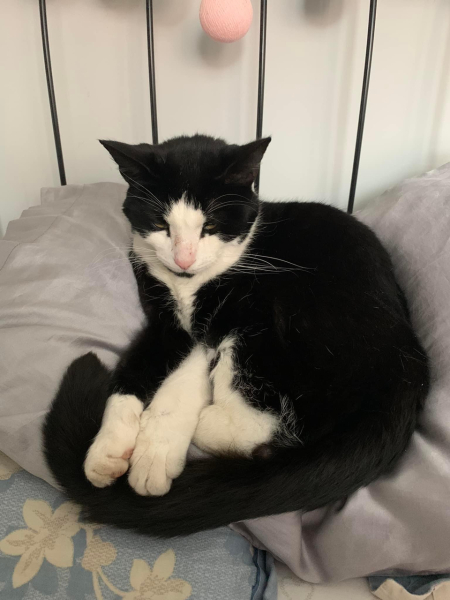 How often do you change your bedding? 