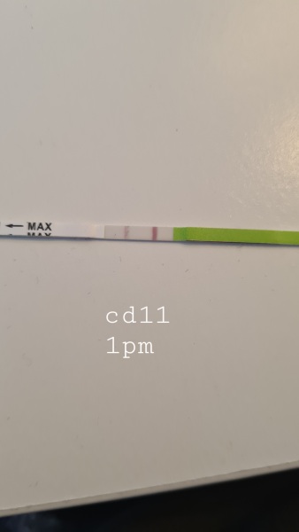 Cd1 anyone like to join me for April's cycle? 