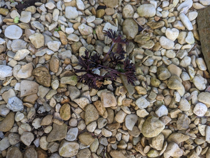 What's this?
