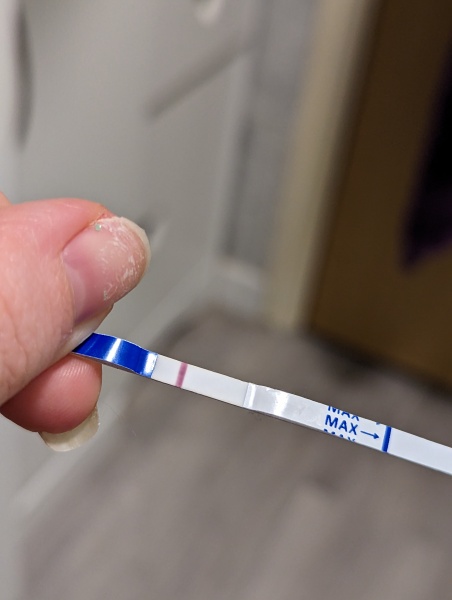**BFaintP** 11DPO-12DPO