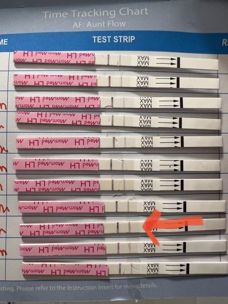 Can these be false positives?