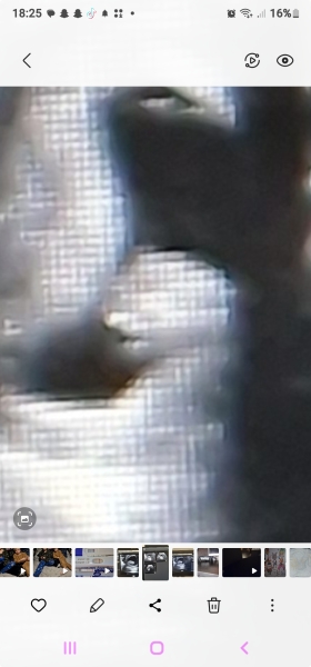 What is this? 10 weeks pregnant