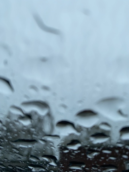 Come and tell me your dull and unexciting news 25: Calmly through the day 