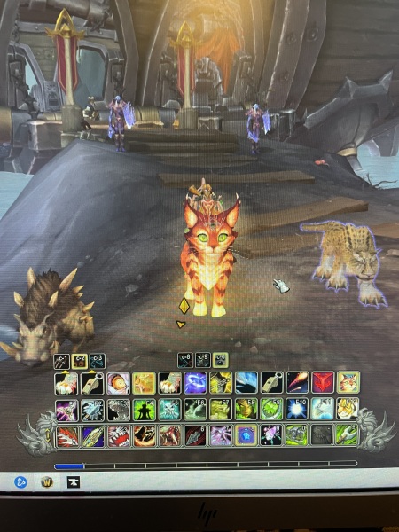 To hate DH playing World of Warcraft