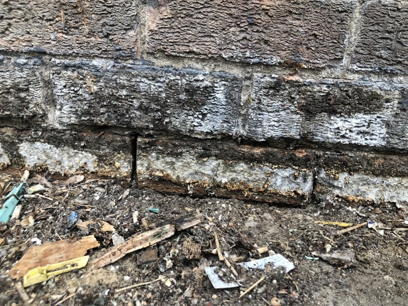 Damp/ pointing HELP