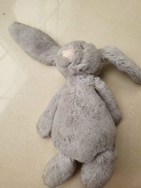 Anyone have a bunny rabbit like this? Desperate mum.