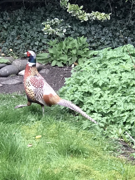 Come and tell me your dull and unexciting news 25: Calmly through the day 